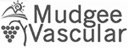 Mudgee Medical
